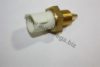 AUTOMEGA 30607030036 Oil Pressure Switch